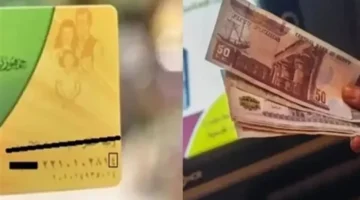 بزيادة 400 جنيه.. قرار جديد يحدد الفئات المستحقة لدعم التموين خلال رمضان بالدولة